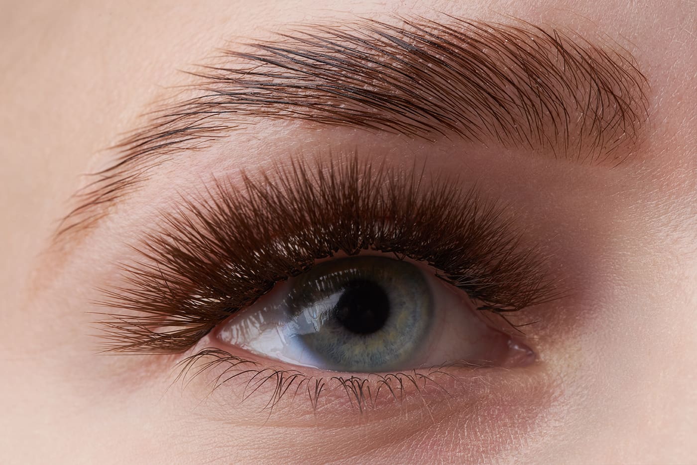 Brow lift : La méthode naturelle pour obtenir des sourcils rehaussés, épais et structurés 4 brow Lift focus